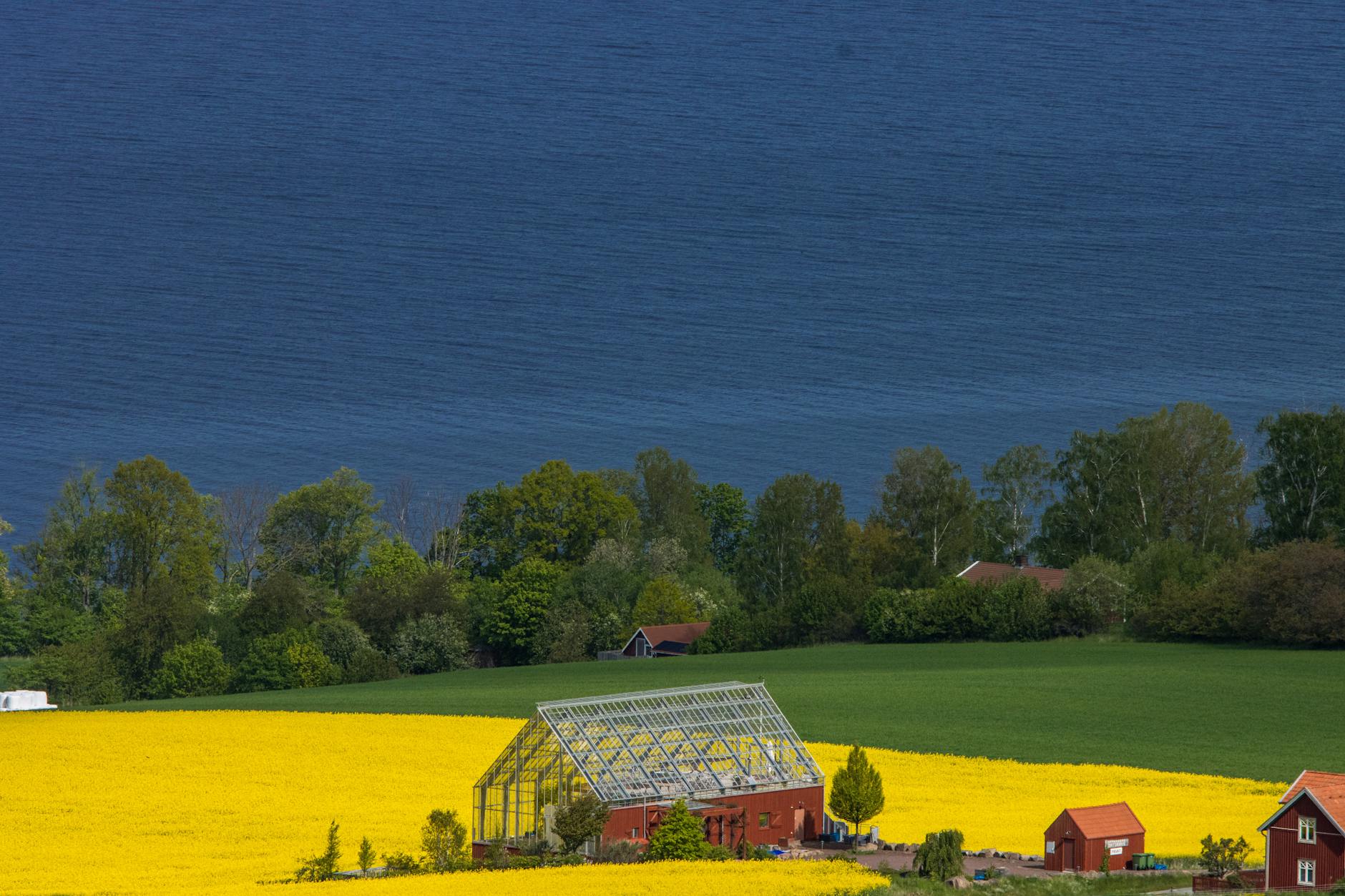 Swedish countryside landscape with lake and forest