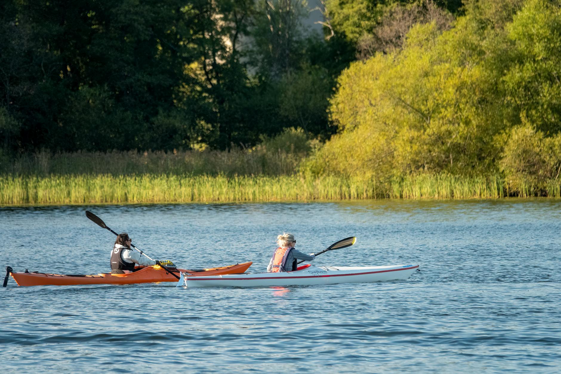 Person paddling a kayak through calm blue water past low forested shores near Stockholm