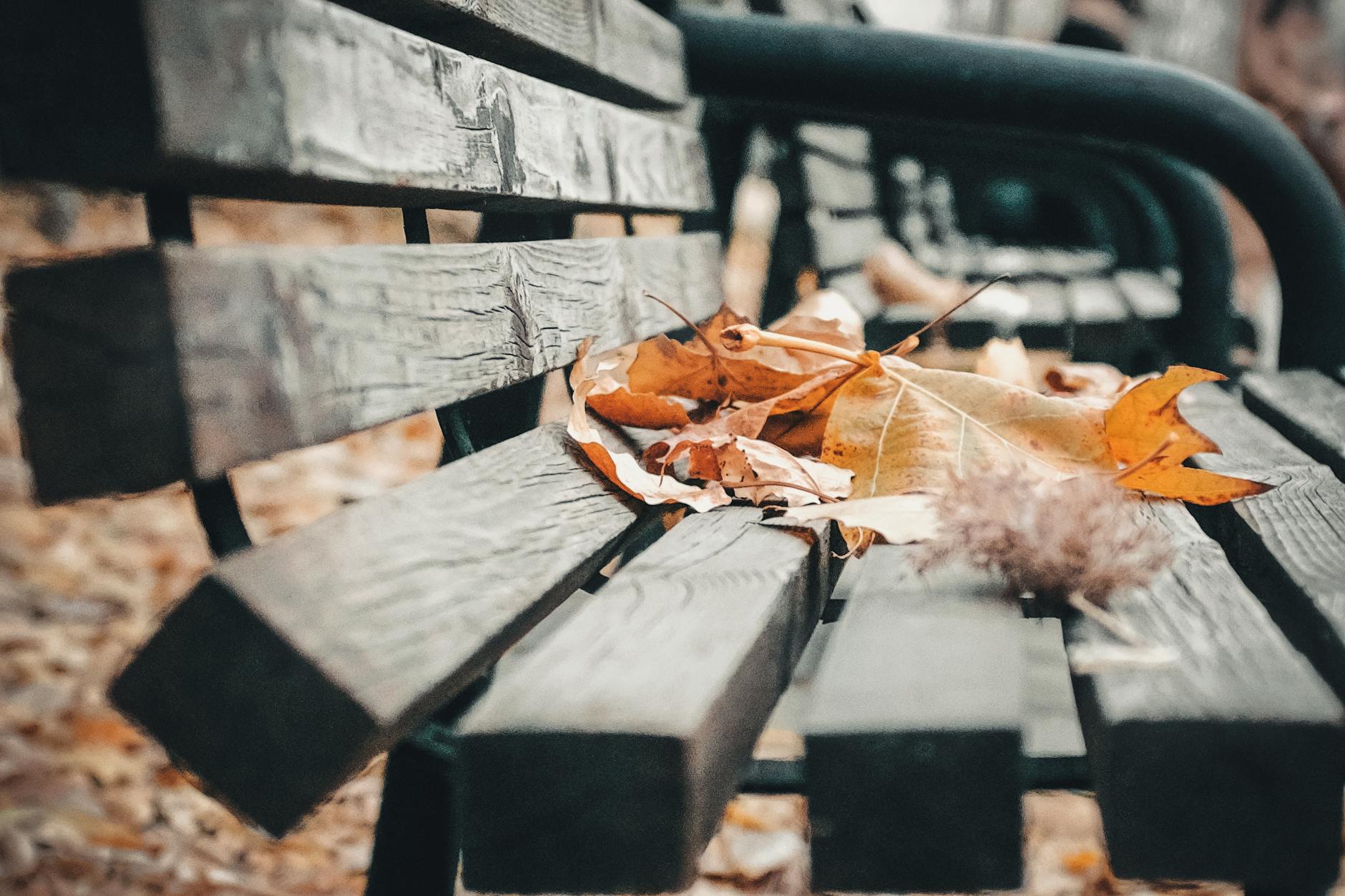 Free things to do in Stockholm includes city parks and benches