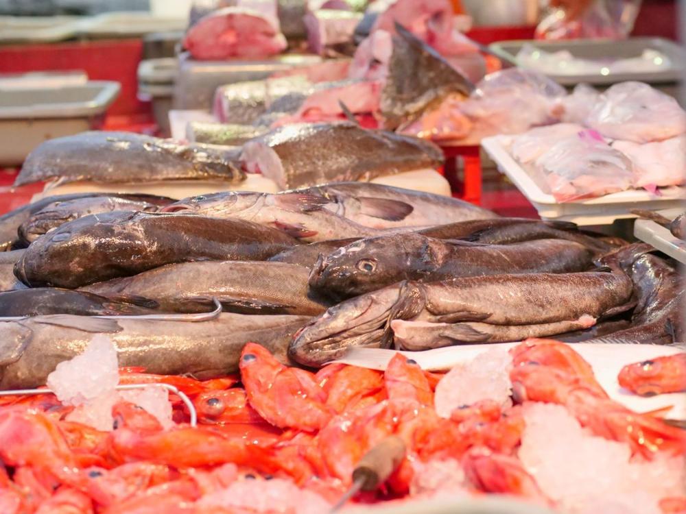 Fresh fish and seafood counter at a Stockholm food market