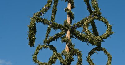 The leafy crossbar and rings of a midsummer maypole dressed with birch leaves and blue cornflowers against a clear blue sky at Skansen