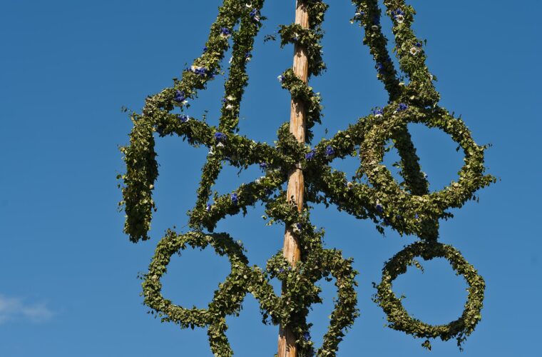 The leafy crossbar and rings of a midsummer maypole dressed with birch leaves and blue cornflowers against a clear blue sky at Skansen