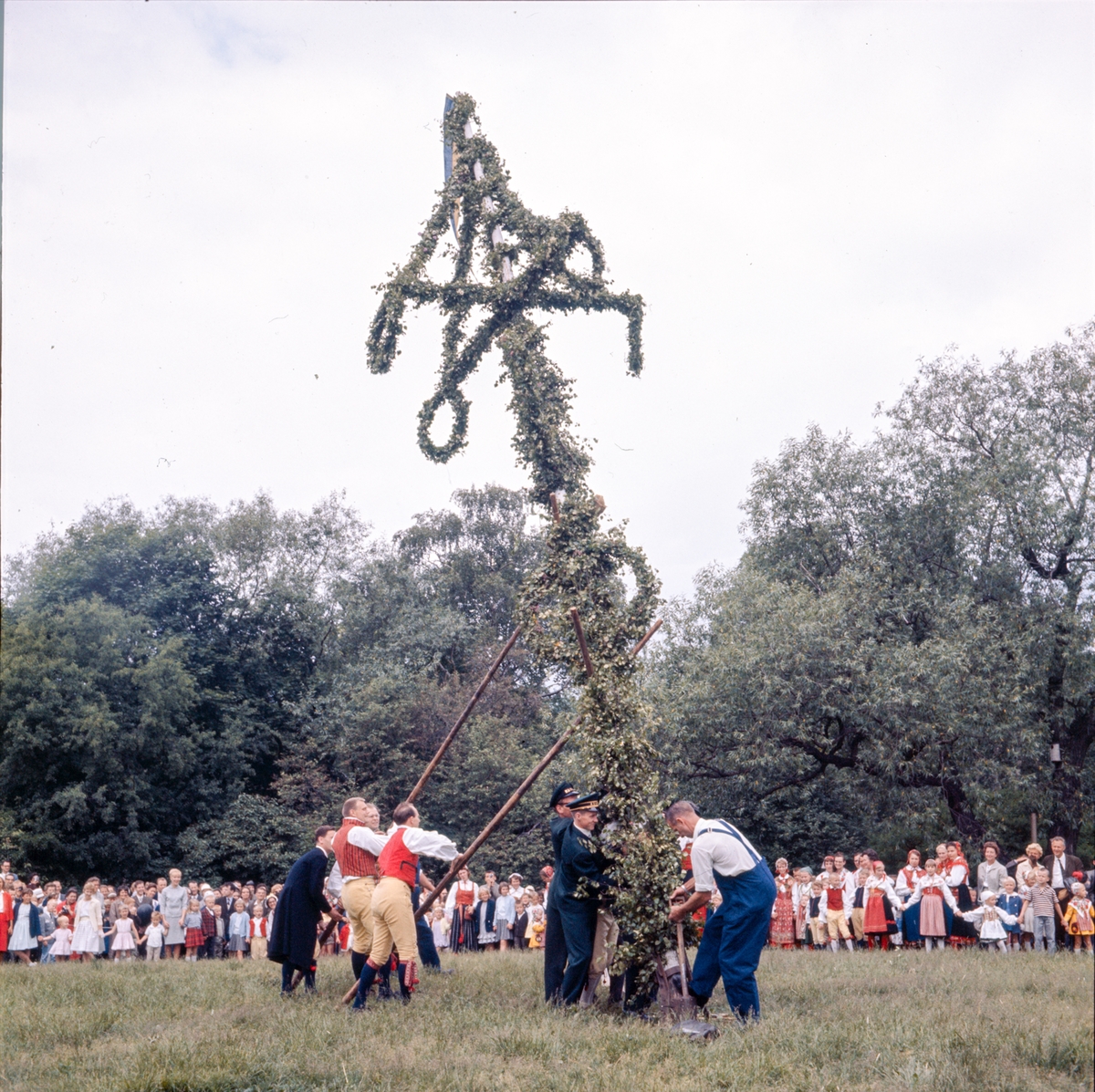 Men in folk costume and uniform raise a leaf-wrapped maypole on a meadow at Skansen while a crowd of children in folk dress watches, in a 1970s colour photograph